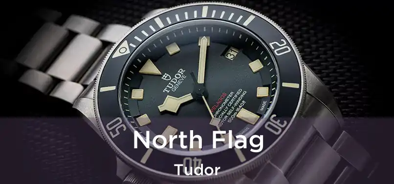  North Flag Tudor